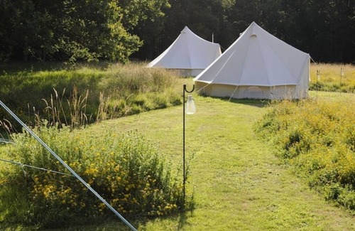 Wavehorne Alquiler De RV | Private Luxury Campsite in Woodland Meadows.
