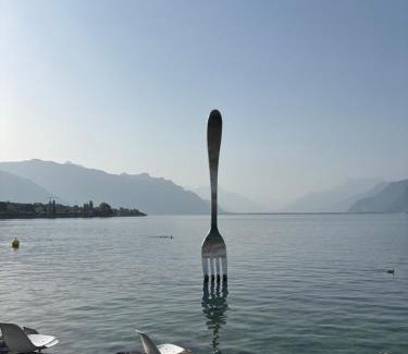 Vevey Apartamento | Private Room in Central Vevey Shared Kitchen & Bathroom