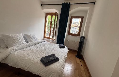 Vevey Apartamento | Private Room in Central Vevey Shared Kitchen & Bathroom