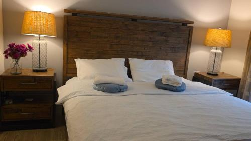 Vancouver Casa | Private Room in Vibrant Vancouver - with share living room and kitchen