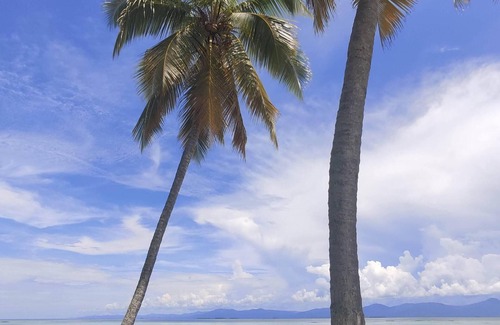 Carti Tupile Alquiler De Eote | Private Sailboat in San Blas