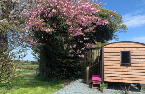 Grinshill Cabina | Private Shepherd's Hut with landmark views