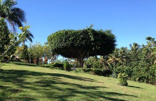 Cabrera Casa | Private studio with stunning ocean views at Villa Tranquila