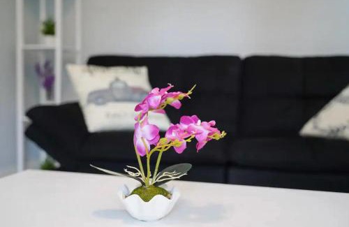 Sulphur Springs Casa | Private Suite near Busch Gardens Adventure Island USF and I-275