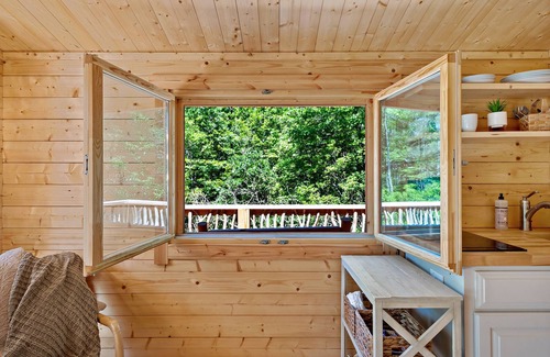 Marion Cabina | PRIVATE Tiny Cabin+90 acres of hiking+baby goats