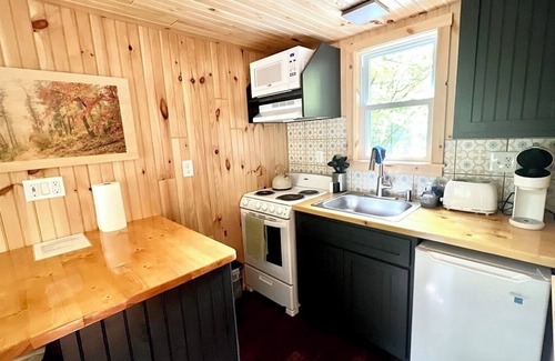 Dailey Cabina | Private Tiny Cabin/Mountain Hiking/National Forest!