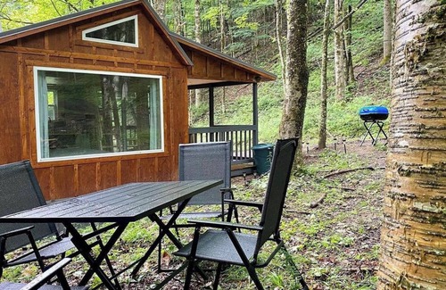 Dailey Cabina | Private Tiny Cabin/Mountain Hiking/National Forest!