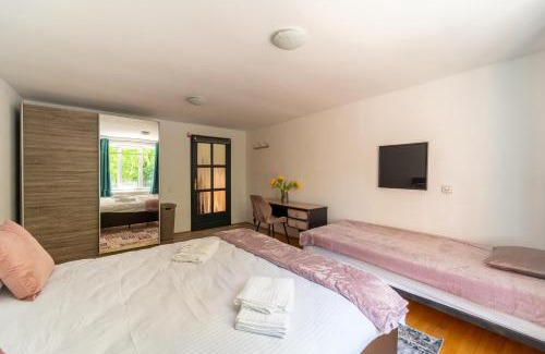 Cluj-Napoca Villa | Private villa in the historic center