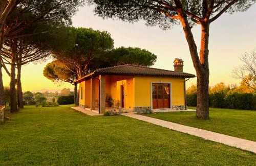 Grosseto Casa | Private Villa Among Pine Trees And Lavender