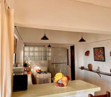 Proyecto Escola Apartamento | PrivateAPT Downtown PV-Unique Vallarta Experience