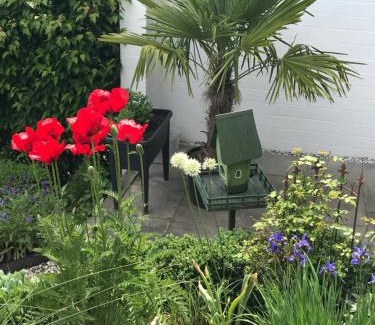 Kickenbach Apartamento | Privatwohnung mit Terrasse zum Relaxen
