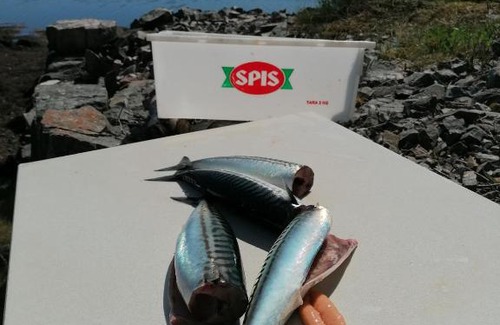 Averoy Municipality Otro | Pro Fish camping og båtleie