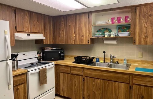 Crystal River Apartamento | Professor Rousseau's Tiki Hideaway