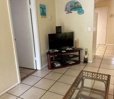 Crystal River Apartamento | Professor Rousseau's Manatee Bay