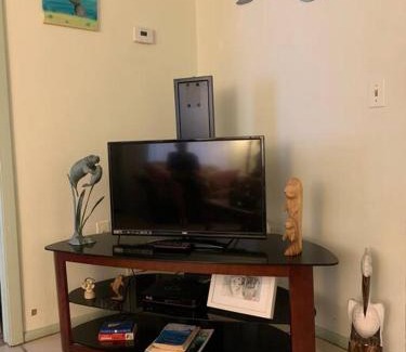Crystal River Apartamento | Professor Rousseau's Manatee Bay