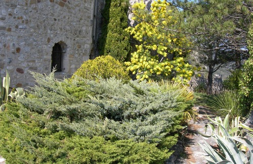 Aigueze Casa | PROMO!-10% Antigua capilla del siglo XII con vistas al Ardèche.