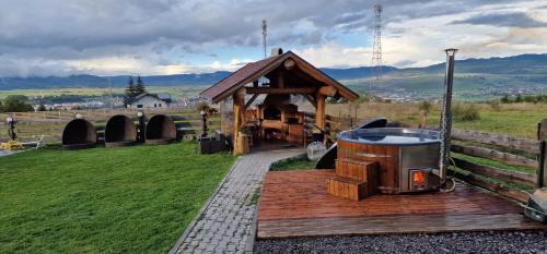 Toplita Casa | Prosilva house