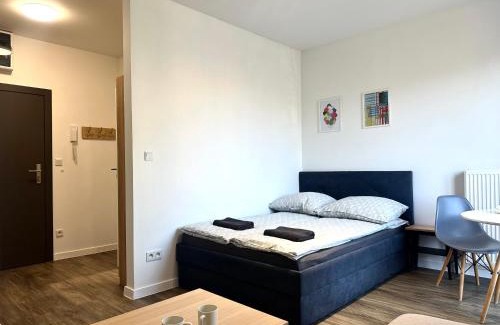 Krzyki Apartamento | Przyjaźni 16 Apt 26 - Self Check-In 20h - Lift