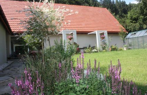 Ladek-Zdroj Apartamento | Przystanek Dzika Dolina