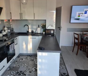 Zywiec Apartamento | Przytulny apartament 2