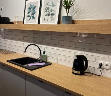 Wielen Apartamento | Przytulny Apartament Mickiewicza 14/1