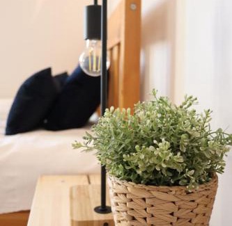 Radom Apartamento | Przytulny apartament przy dworcu