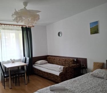 Suwalki Apartamento | Przytulny - blisko centrum