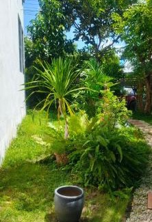 Chiang Mai Casa | PS Place