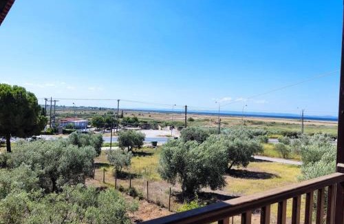 Ormilia Apartamento | Psakoudia old olive trees appartment 50 m2, 2 bedrooms, sea view