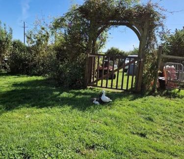 St. Martin Apartamento | Puddle Duck Peeps Out Chalet