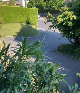 Pully Apartamento | PULLY LAUSANNE sunny apartment on lakeside street and direct bus to Lausanne train station