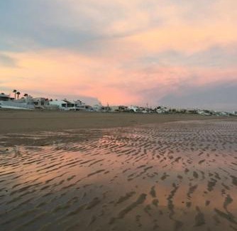 Las Conchas Casa | Pulpo: Low Tide