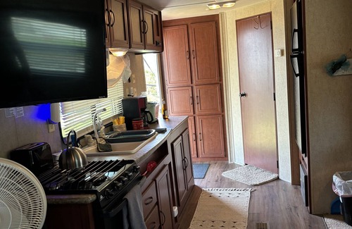 Florida Panhandle Casa | Puma in the Park