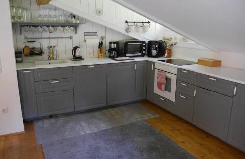 Trins Apartamento | Pumafalle