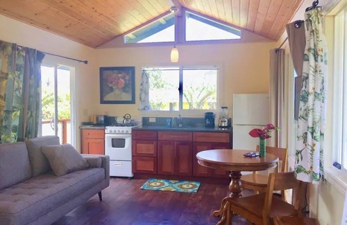 Pahoa Apartamento | Puna Rainforest Hot Spring Retreat - Green Bamboo Cottage