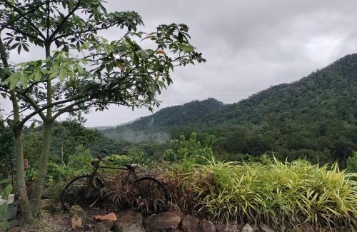Pekan Nanas Otro | Puncak CSA