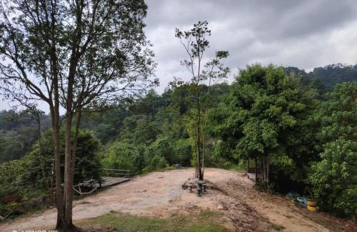 Pekan Nanas Otro | Puncak CSA