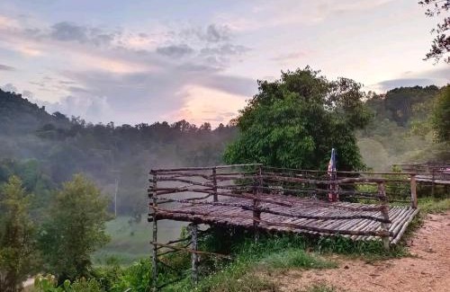 Pekan Nanas Otro | Puncak CSA
