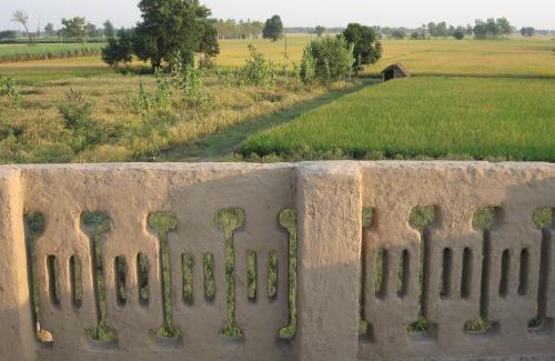 Kottli Sainian Casa | Punjab Village Farm near Amritsar
