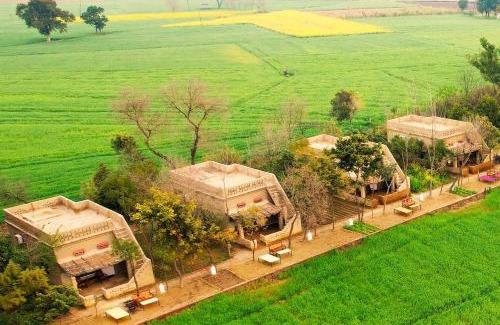 Kottli Sainian Casa | Punjab Village Farm near Amritsar