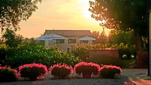 Riparbella Casa | Punta dei Lecci