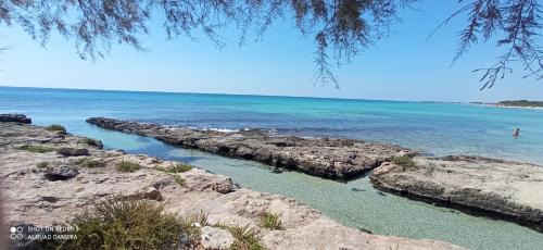 Punta Prosciutto Casa | Punta Grossa - Porto Cesareo