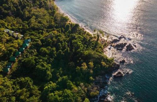 Bahía Drake Cabina | Punta Marenco Lodge