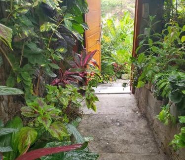 Caculi Casa | Puntinha d'Djô