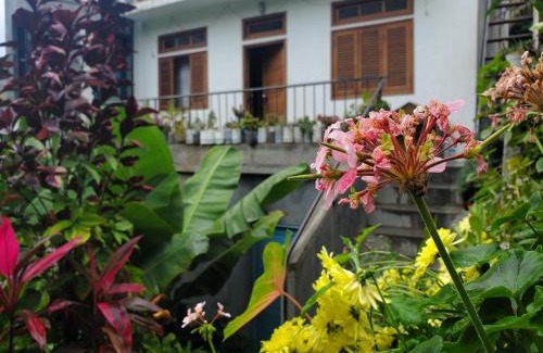 Caculi Casa | Puntinha d'Djô