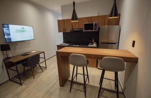 Coyoacán Apartamento | Punto Lofts Periférico Sur