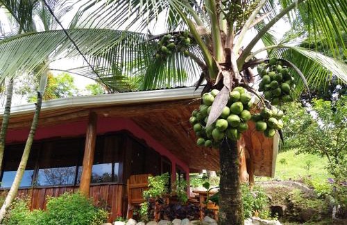 San Lorenzo Casa | Pura Natura Lodge Arroyo