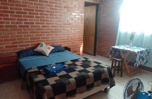 Cortaderas Casa | Pura Vida