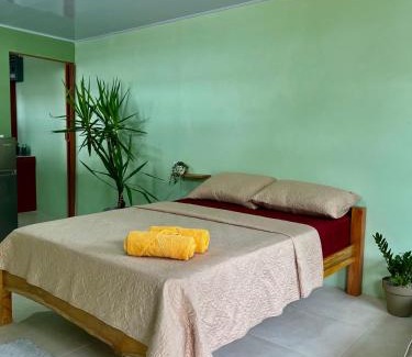 Puerto Jiménez Casa | Pura Vida Estudio
