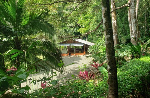 Carate Cabina | Pure Nature, 3 kilometers away from Corcovado Park, La Leona Station